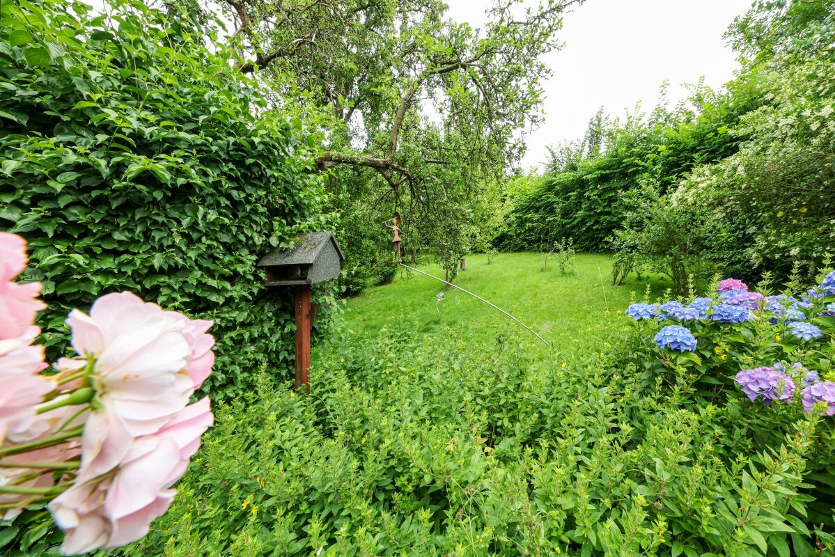 Garten Garten