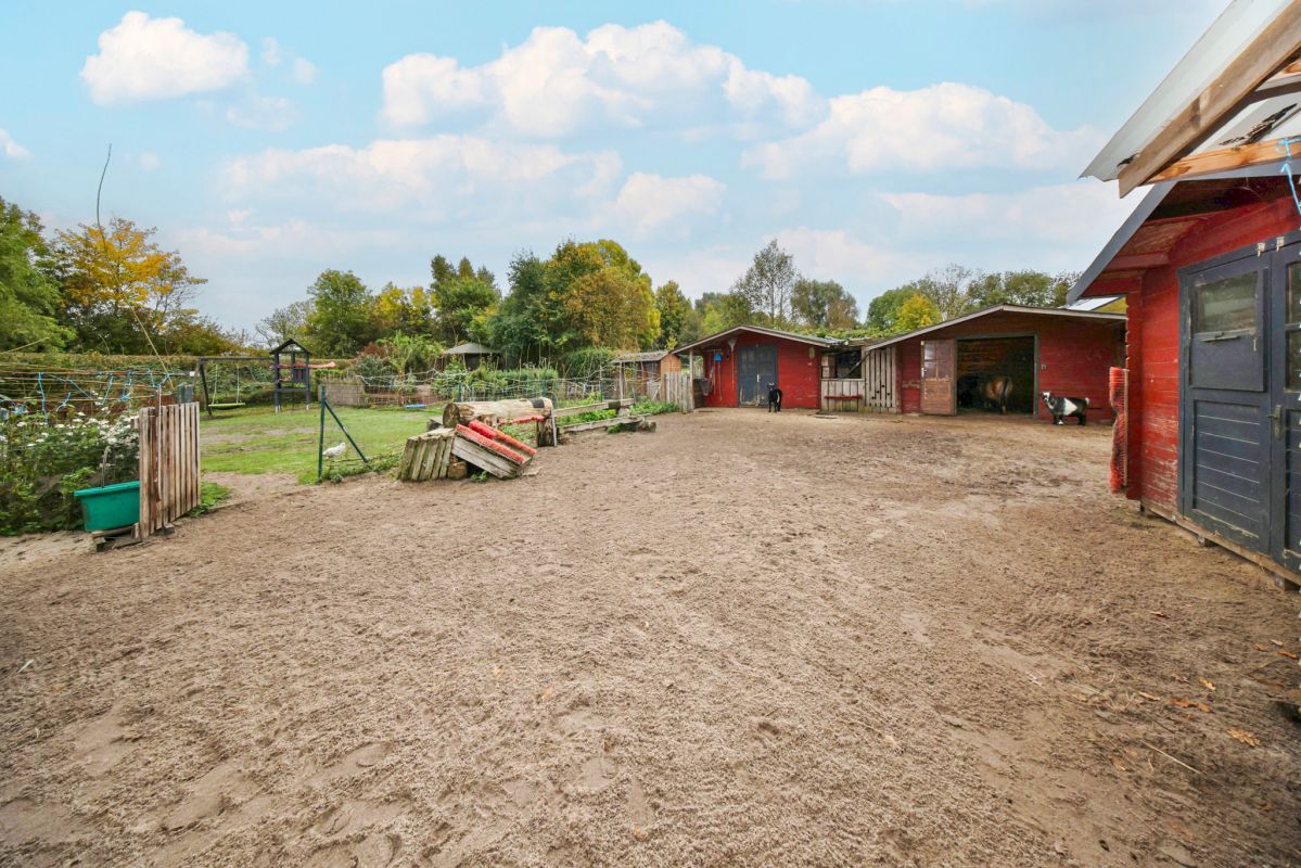 Paddock Paddock