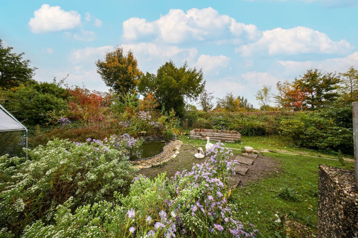 Garten Garten