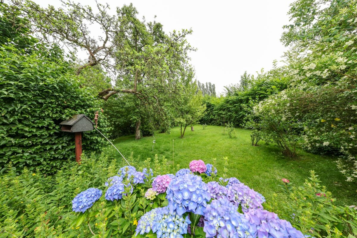 Garten Garten